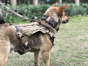 Military Tactical Dog Harness - thepetvision.com