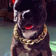 Cuban Chain Link Pet Collars - thepetvision.com