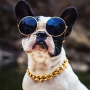 Cuban Chain Link Pet Collars - thepetvision.com