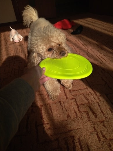 Silicone Flying Saucer Dog Cat Toy - thepetvision.com