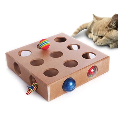 Interactive Pet Cat Puzzle Box Toy - thepetvision.com
