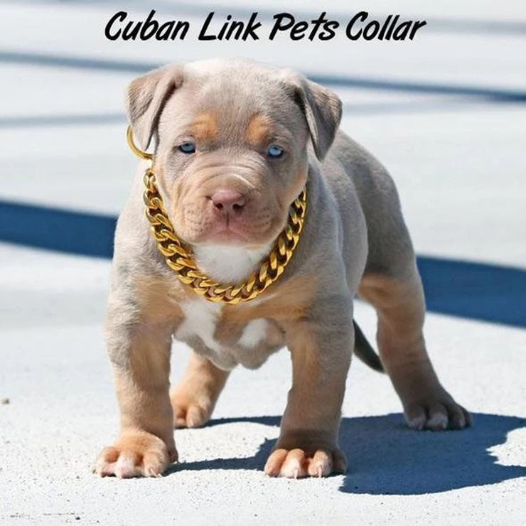 Cuban Chain Link Pet Collars - thepetvision.com