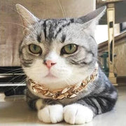 Cuban Chain Link Pet Collars - thepetvision.com