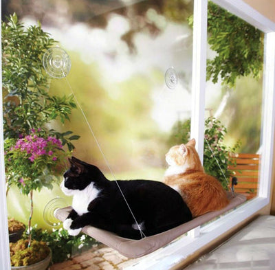 Cat Sunny Seat Cute Hanging Beds - thepetvision.com