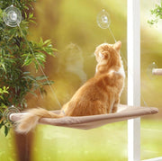 Cat Sunny Seat Cute Hanging Beds - thepetvision.com