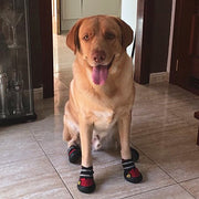 Pet Outdoor Non Slip Boots - thepetvision.com