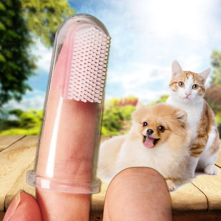 Dog Tooth Brush Finger Fit - thepetvision.com