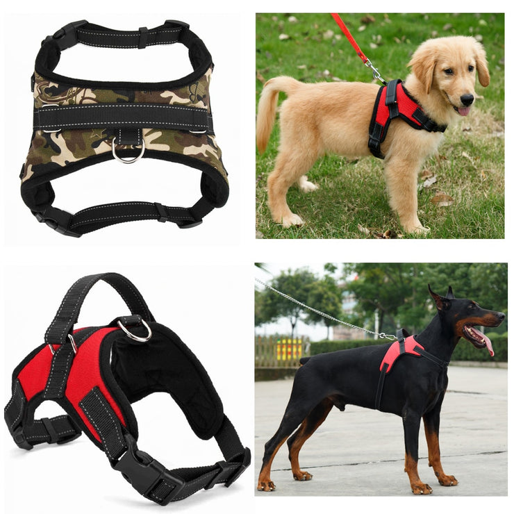Heavy Duty Dog Pet Harness Collar - thepetvision.com