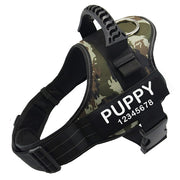 ID Tag Custom Dog Collar - thepetvision.com