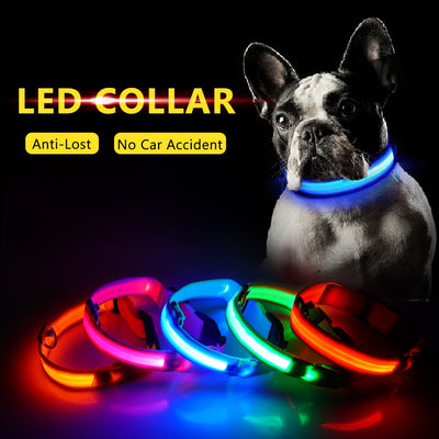 LED Dog Collar Anti-Lost - thepetvision.com
