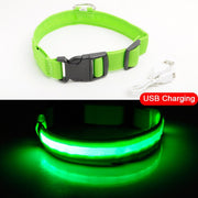 LED Dog Collar Anti-Lost - thepetvision.com