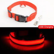 LED Dog Collar Anti-Lost - thepetvision.com