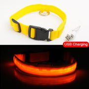 LED Dog Collar Anti-Lost - thepetvision.com