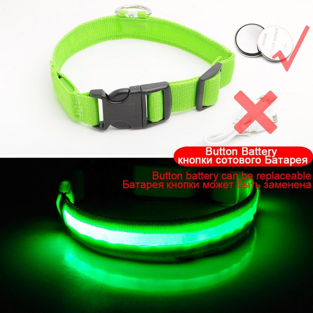 LED Dog Collar Anti-Lost - thepetvision.com